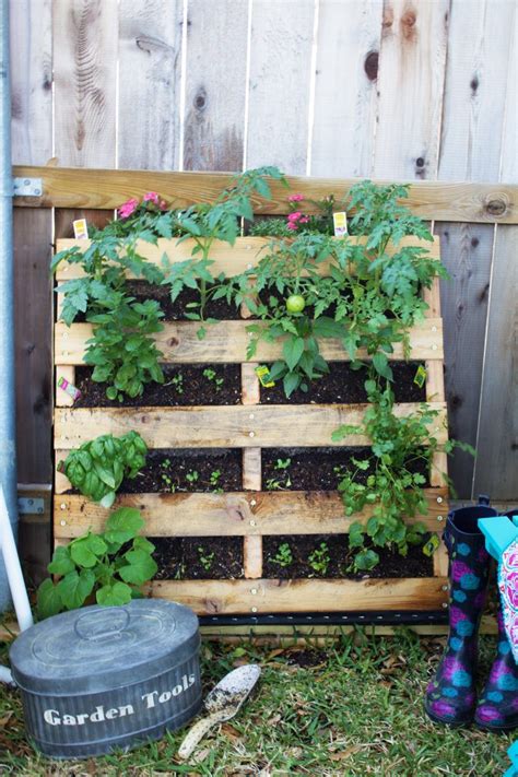 Have A Small Space But Love To Garden Try A Vertical Pallet Garden