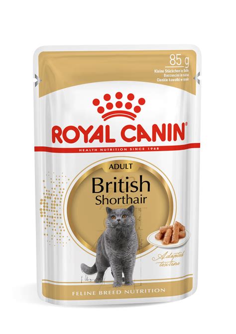 British Shorthair Royal Canin Nz