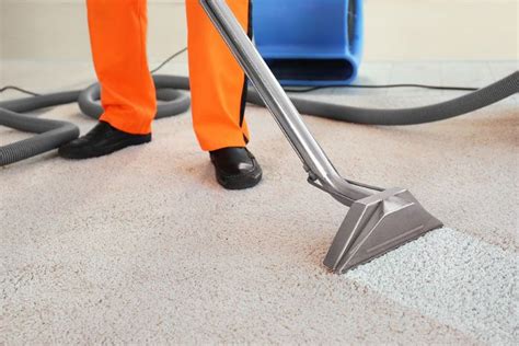 Carpet And Upholstery Cleaning In Burlington County Nj