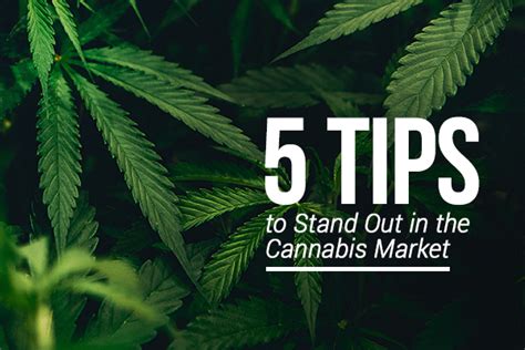 5 Tips To Stand Out In The Cannabis Market