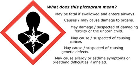 The health hazard pictogram indicates a product contains chemicals that may cause health effects in humans, including cancer, gene mutation, . What Hazard Symbol Would You Find On Petrol - Kalimat Blog