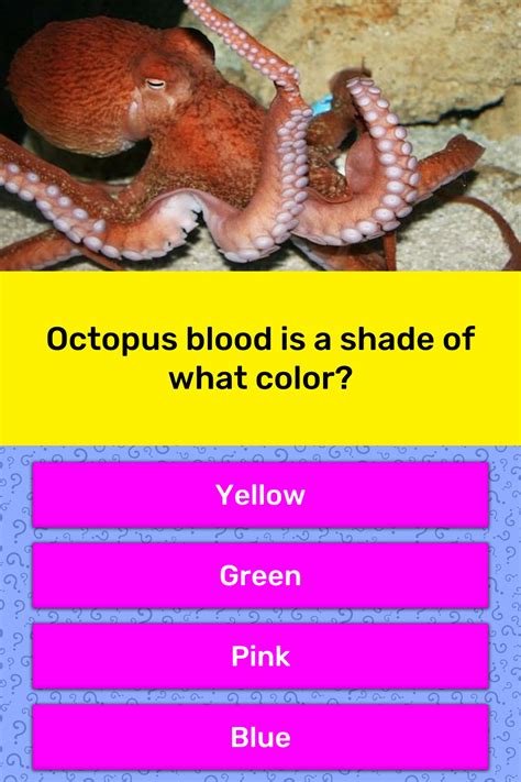 Octopus Blood Is A Shade Of What Color Trivia Answers Quizzclub