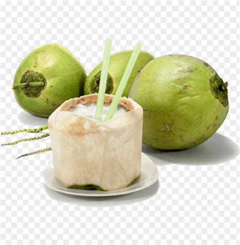 Fresh Coconut Kelapa Muda Png Image With Transparent Background Toppng