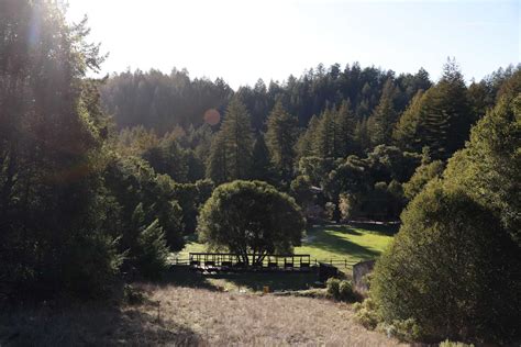 Bay Areas Camp Jones Gulch And Surrounding Redwood Grove To Be