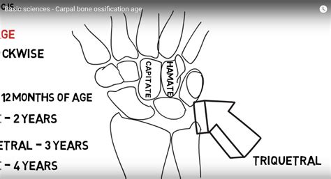 Carpal Bone Ossification Age —