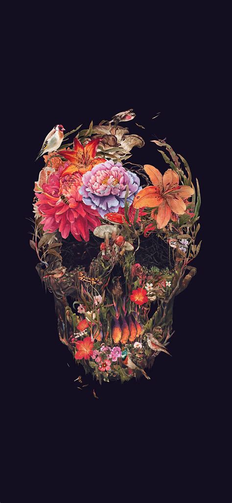 Skull With Flower Wallpapers Wallpaper Cave
