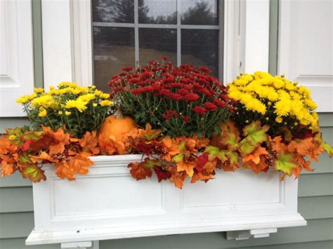 10 Fall Plants And Flowers That Will Spice Up Your Window Boxes Hooks