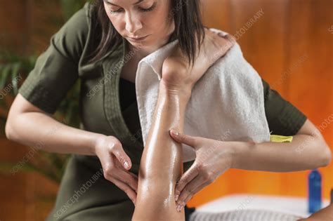 Legs Sports Massage Therapy Stock Image F0247845 Science Photo