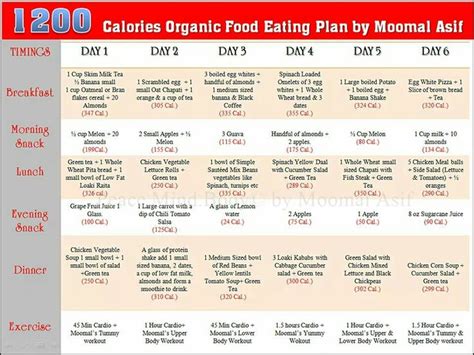 1600 Calorie Diet Plan Indian Pdf Dahlia Barone