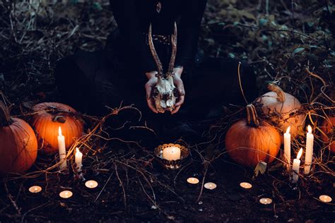 Spooky Halloween scene - freestocks.org