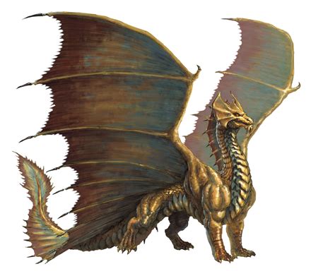 Dragonkin Drachen Wiki Fandom Powered By Wikia