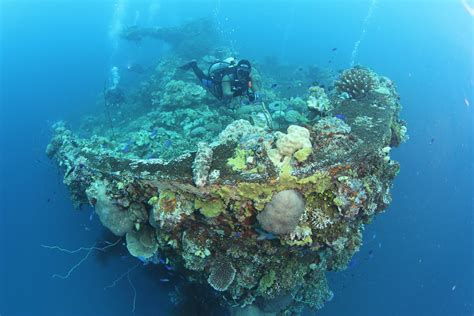 Wrecks Of Truk Lagoon By Catherine Marshall Flickr Blog