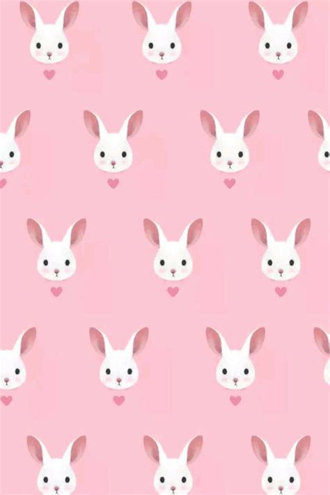 46 Pink Bunny Wallpaper Wallpapersafari