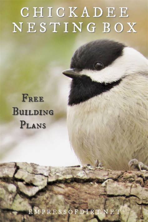 Make A Chickadee Nesting Box Free Plans Empress Of Dirt Bird
