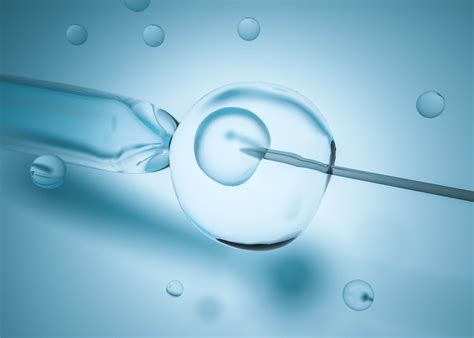 Treatment Series In Vitro Fertilization Viera Fertility