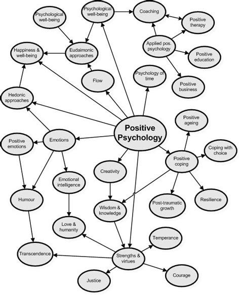 qué es la psicología positiva una definición 3 niveles de psicología positiva natuurondernemer