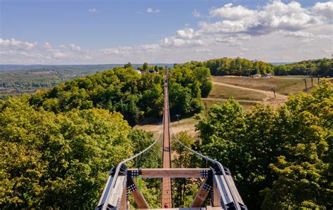 Skybridge Michigan Worlds Longest Timber Towered Suspension Bridge