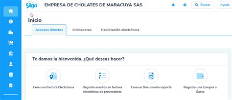 Manejo De Ingresos Para Terceros En Factura Electrónica Portal De