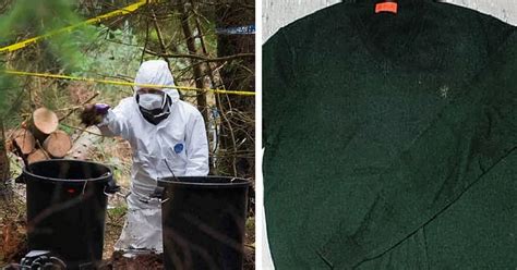 Detectives Reveal New Clues In Case Of Unidentified Human Remains Found In Woods Wales Online