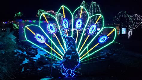 Wildlights At The Columbus Zoo Return For 2019 Holiday Season Coaster101