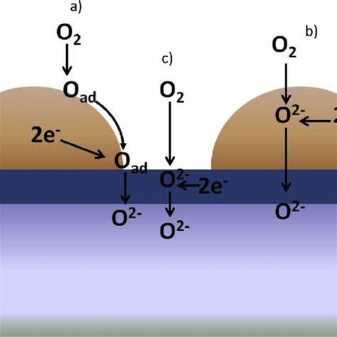 E Schematic Of The Oxygen Reduction And Incorporation Reaction Via