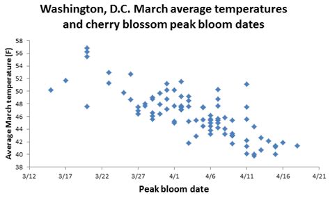 Cherry Blossom Peak Bloom Forecast From Capital Weather Gang April 9
