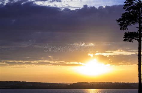 Gold Sunset At Lake Stock Photo Image Of Ocean Clouds 77125538