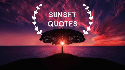 50 Quotes About Sunsets Inspirational Sunset Quotes