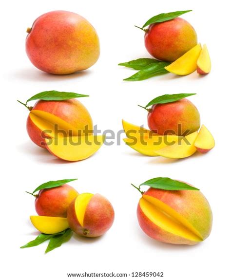 Mango Collection Stock Photo 128459042 Shutterstock