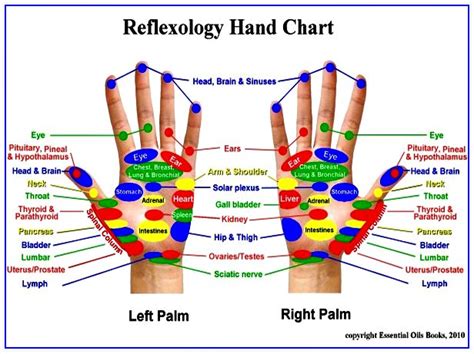 Frugal Fitness ® About Reflexology And Its Many Benefits