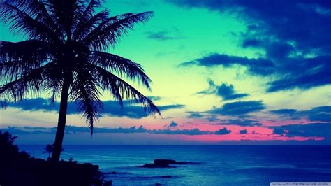 Tropical Beach Sunset Wallpapers Wallpaper Cave