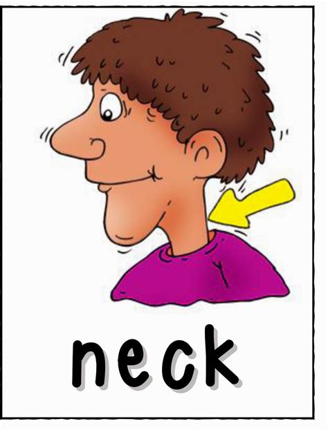Neck Clip Art 10 Free Cliparts Download Images On Clipground 2024