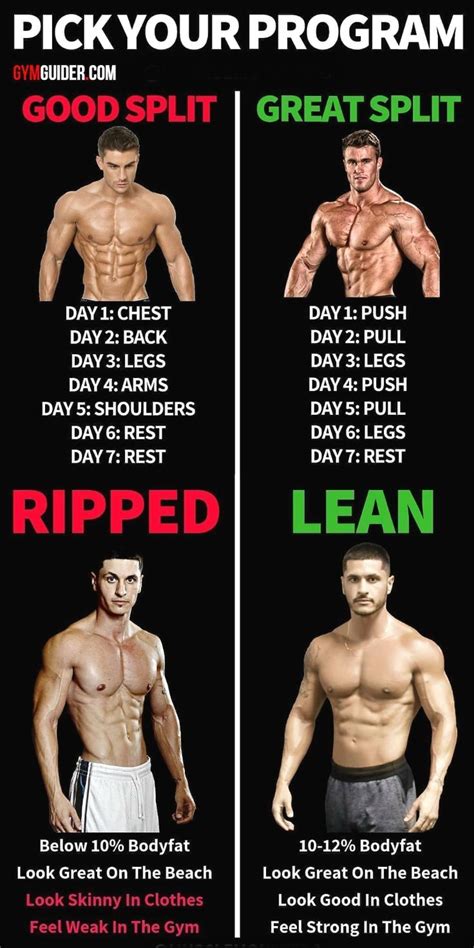 8 Powerful Muscle Building Gym Training Splits Workout Splits Muscle