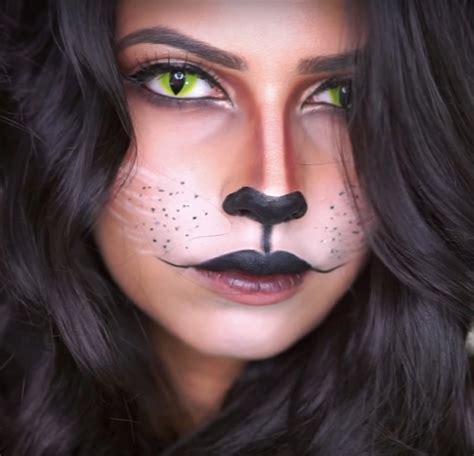 Cat With Makeup Dechofilt