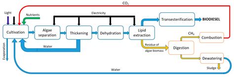 Algae Biofuel Chart