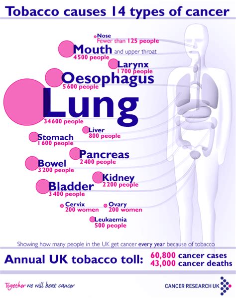 smoking cause many different cancers download scientific diagram