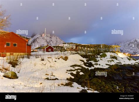 Winter In Reine Lofoten Islands Norway Stocks For Drying Fish At