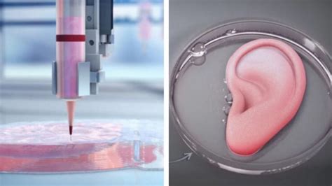 The Science Fiction World Of 3d Printed Organs Ie