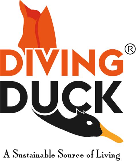 About Us Diving Duck
