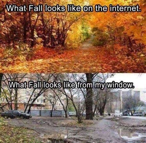 Pin By Amy Caulk On Weather Memes Funny Pictures Funny Photos Memes