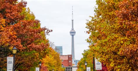 The Five Best Places To See Fall Foliage In Toronto Curated