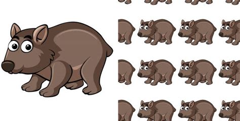 Wombat Illustrations Royalty Free Vector Graphics And Clip Art Istock