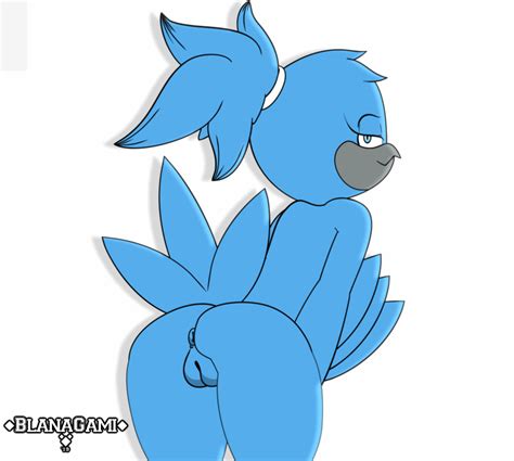 Rule 34 Animated Anthro Anus Ass Avian Beak Bird Blanagami Blue Eyes Blue Hair Feathers Female