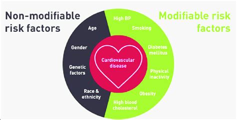 Risk Factors Of Cardiovascular Disease Download Scientific Diagram