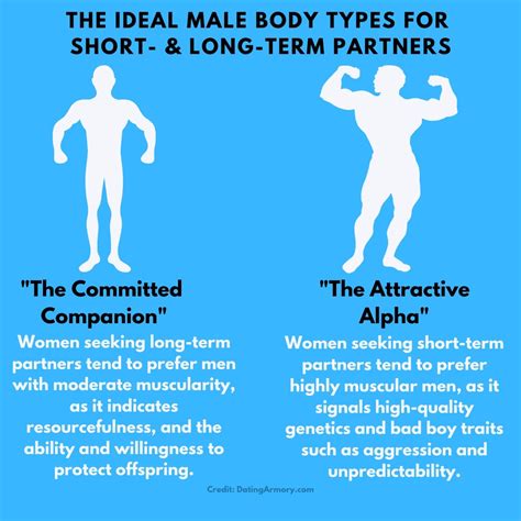 the top 7 most attractive male body types [and ratios ] dating armory