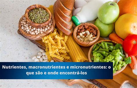 Nutrientes Macronutrientes E Micronutrientes O Que São E Onde