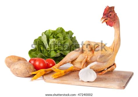 Full Length Chicken Lying On Cutting Stock Photo Edit Now 47240002