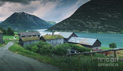Traditional Farmers Houses In Norwegian Countryside Near Oppland