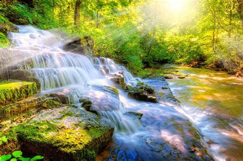 1920x1080px 1080p Free Download Waterfall In The Forest Forest