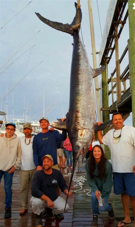 Angler Catches Huge Swordfish Off Oregon Inlet
